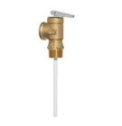 Temperature 1L 1XL 10L And 100XL Self-closing Temperature And Pressure Relief Brass Valves For Water Heaters
