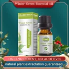 Health Green 100% Pure No Additives Best Price Top Quality Health Care Winter Green Essential Oil