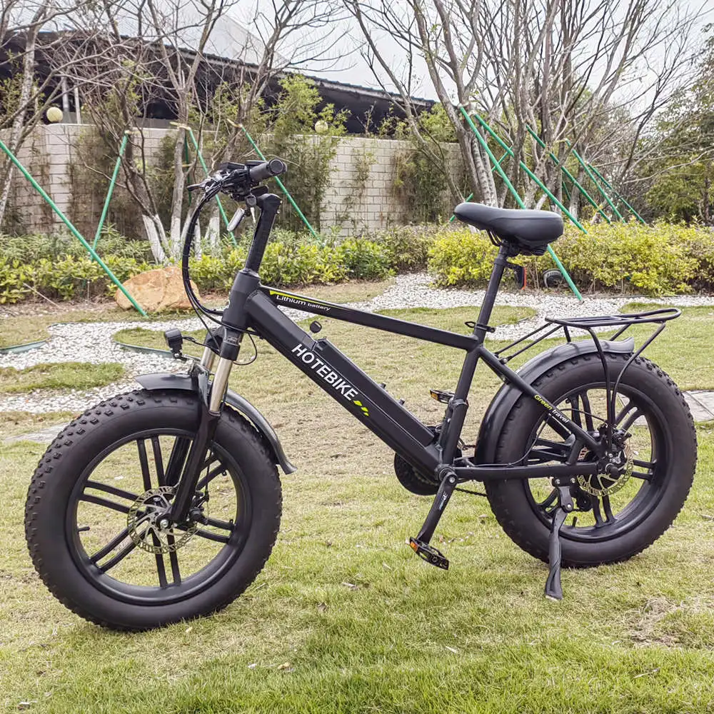 Hotebike Electric Bike 48v 500w 750w 