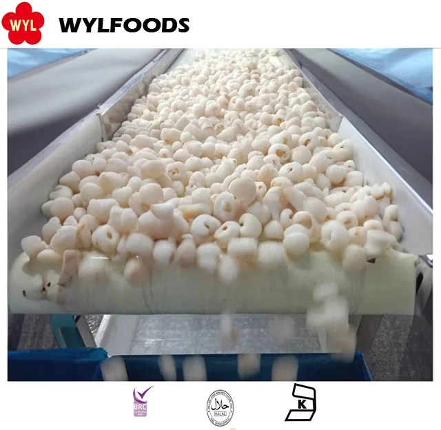 Premium Quality Sweet Lychee Fruit Dried Perfect for Healthy Snacking and Desserts for Retailers Frozen Lychee manufacture