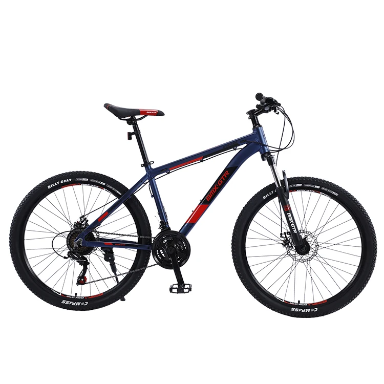 buy 29 inch cycle online