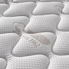 Mattress Cheap Mattress Individual Pocket Spring Cotton Fabric Coconut Fiber Cheap Comfortable Mattress