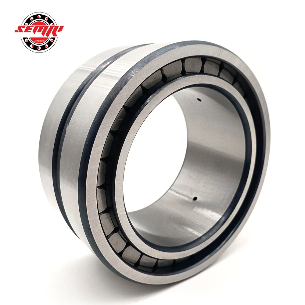 INA SL185004-A Cylindrical Roller Bearing Double Row  20 x 42 x 30 mm Open 