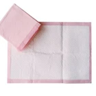 Disposable Underpads Manufacturer 60cmx60cm Waterproof Absorbent Disposable Underpad