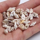Beads Sea Shell New Natural Brown Drilled Hole Craft Beads Sea Shell For Jewely