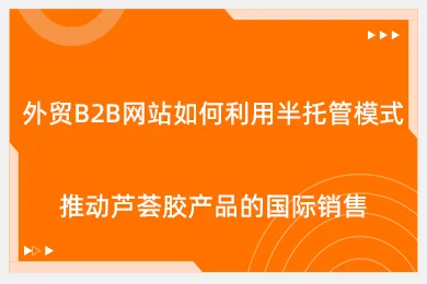 外贸b2b网站如何利用半托管模式推动芦荟胶产品的国际销售