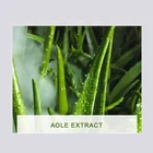 Aloe Vera Wholesale Natural Aloe Vera Gel Extract Renewal Hydrating Repair Sheet Facial Face Membrane