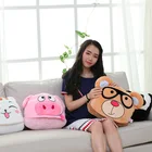 Plush Hot Sale Double Side 43cm Emotion Flip Toy Bear Plush Reversible Bear Cushion