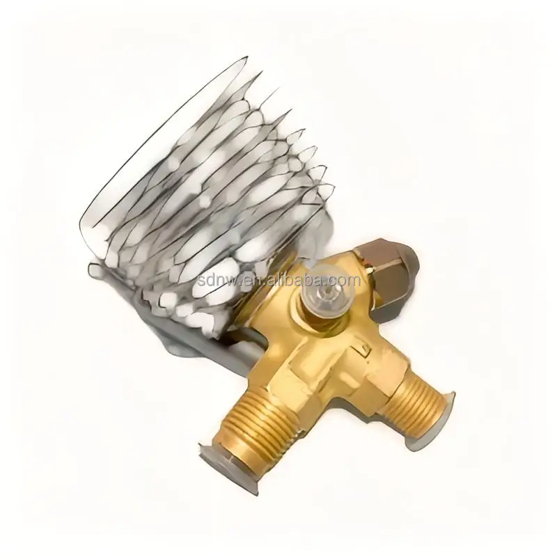 Thermostatic Expansion Valve, solenoid, brass - detail 4