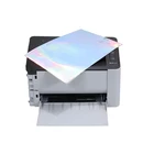 Pvc PP / PET / PVC Self Adhesive Holographic Film In Roll Or Sheet