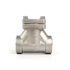 Check Check Valves Check DH-50Y Cryogenic Vertical Lift Check Valve Stainless Steel Support Inspection