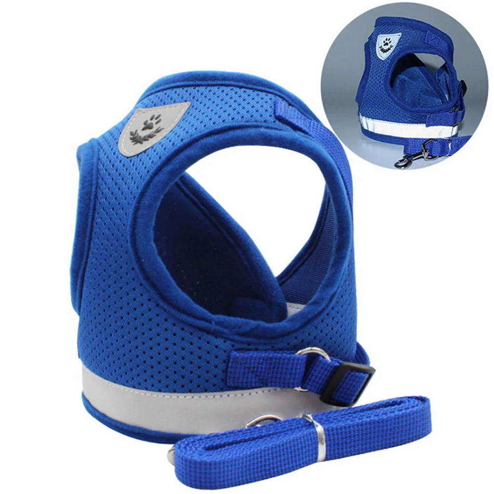 polyester dog leash in blue colour