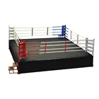Wrestling Ring Hot Sale Wrestling Ring Professional Pads Muay Thai Twins Factory Direct Floor Boxing Ring For Sale