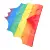 Shawl Cloak Banner Parades Costume Rainbow Cloak Rainbow Cape for Pride Day Party Cheering Flag Cape Rainbow Flag Cloak