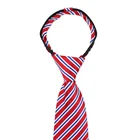 Style Red 2021Fashion Hot Sale Style Polyester Red Blue White Striped Design Handmade Zipper Ties For Men