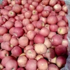 Fruits Fuji Apples Fujiapple China New Fresh Fruits Red Fuji Apples With High Quality