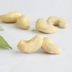 Quality Cashews Nut Supplier Offers Raw Cashew Nuts In Shell