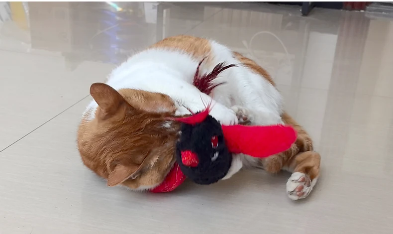 HOT Red Bird Cat Toys Touch Activated Flapping Wings Sparrow Interactive Smart Cat Toys USB Pet Products supplier