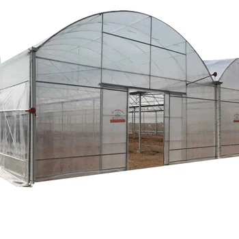 ZEWO Multi Span Plastic Film Poly Tunnel Film Greenhouses with Spray/Drip Irrigation System