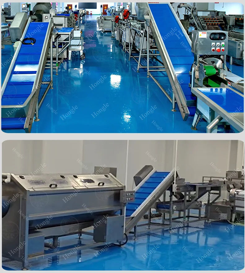 Food Industry Production Line Snacks Conveyor Belt for Fruit & Vegetable Washing Equipment supplier