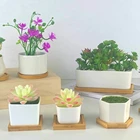 Planter Amazon Hot Sale Succulent Pot With Wood Tray Ceramic Mini Flower Pot Ceramic Planter For Succulents