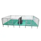 Animal Quality Assurance Pigs Gestation Crate For Sows Gestation Stalls Animal Cages