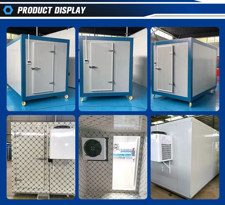Blast Freezer, 110-240V, 0-2kw - detail 16