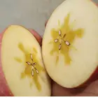Fuji Fruit Apple Fujiapplefujiapple 2020 Hot Selling Chinese FUJI Fruit Apple Apple Price