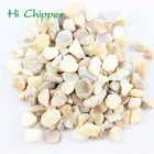 Shell For Crushed Sea Shell For Engineered Stone Decoration