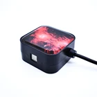 Light Laser Laser Voice-activated Music Light Ambient Drop Shipping Laser Car Roof Adjustable USB Roof Cars Light