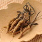 Natural Reduces Fatigue Chinese Herb 100% Natural Cordyceps