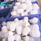 Led B22 Led High Power 5w 10w 15w 20w 30w 40w 50w Plastic Led Bulb E26 E27 B22 Base Led Lamp