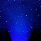W Led Led Garden Star Series R G B W Optional 13W Led Star Light For Christmas Decoration