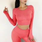 Apparel Sportswear Wholesale Yoga Set Wear Clothes Woman Long Sleeves Short Pants Suit Ladies Work Out Apparel