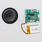 Mp3 Card Customized Embedded Sound Usb Module Mp3 For Gifts