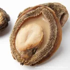 Abalone Wholesale Yellow Flat Round Food Abalone Star Fresh Abalone Price