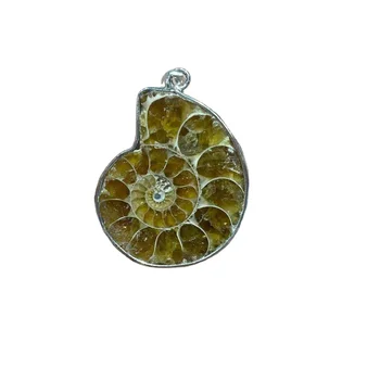Wholesale Natural Raw Mini Ammonite Fossil Crystal Quartz Jewelry Pendant For Healing