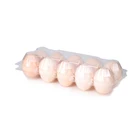 Egg High-quality Transparent Plastic Egg Tray One-time Earth Egg Packaging Box Fresh Egg Support Customization