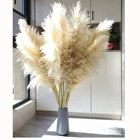 Flower Flowers DIY Flower Arrangement Dried Flowers Pampas Grass