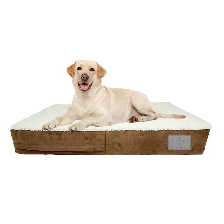 large flat dog bed