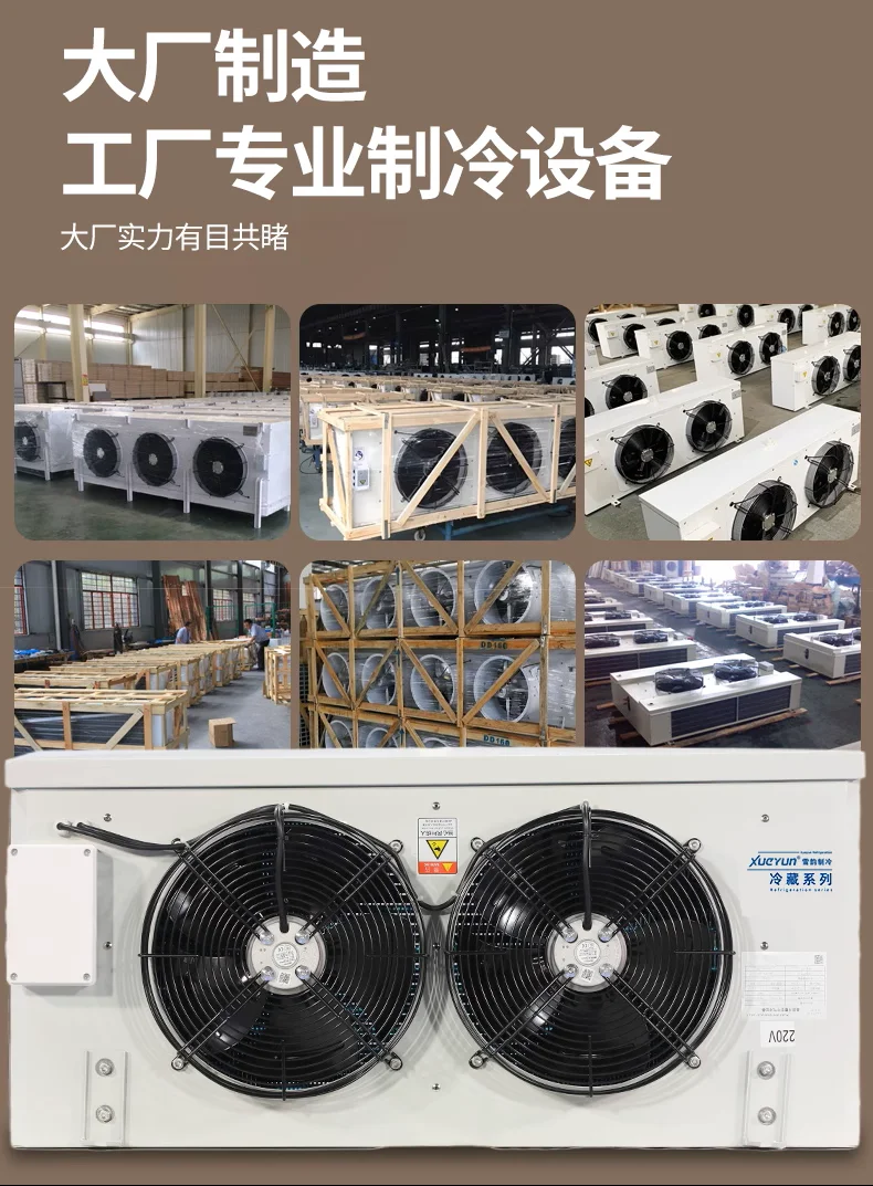 Industrial Blast Chiller, 220V, Electric - detail 12