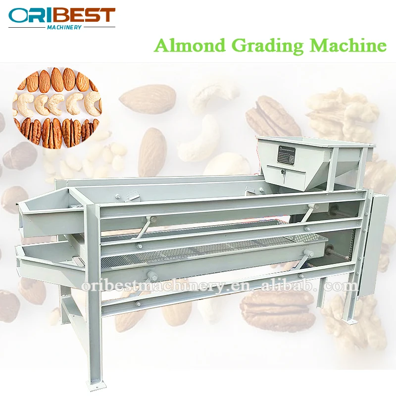 widely used macadamia nut grading machine/ nut processing