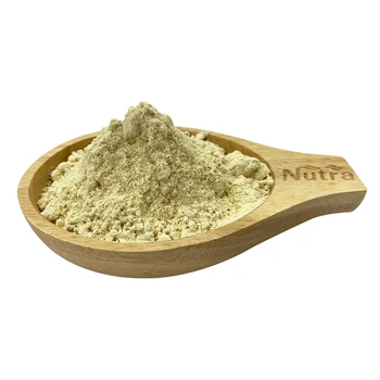 High Quality Organic Isolate Pea Protein Powder With Best Price