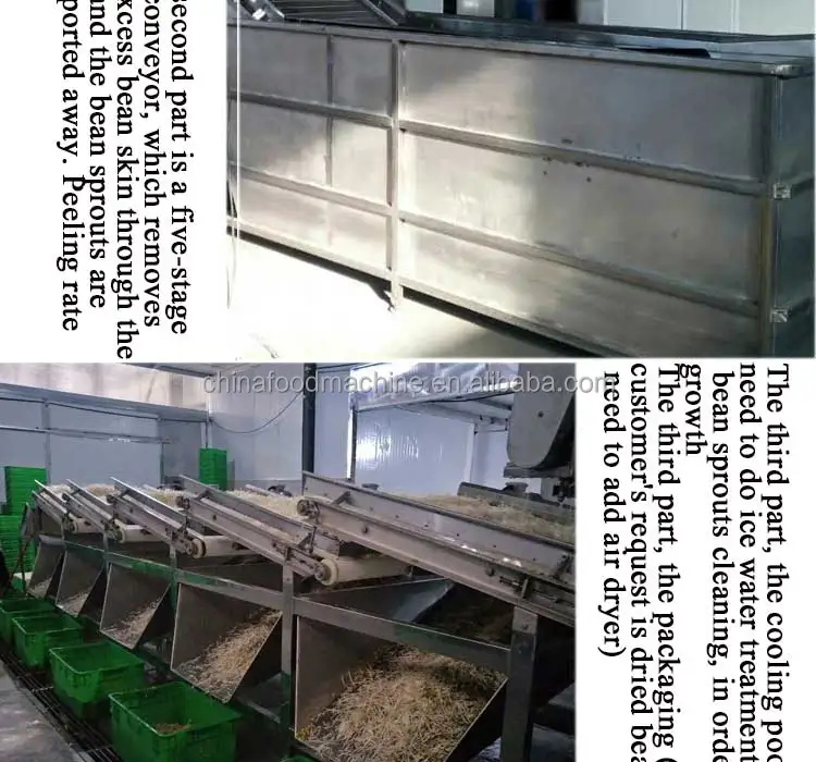 Commercial Industrial Automatic Mung Green Bean Sprout Peeling Cleaning Machine Fruit & Vegetable manufacture