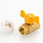 New Design Production Of High Quality Anty-theft Brass Locking Valve