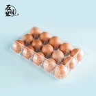Plastic Tray Plastic Pet Material Large Cheap Plastic Tray Plastic Box Container Egg Tray With 15 Cells STL-J-015Z