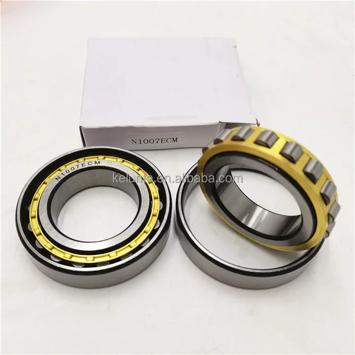 N1007ECM bearing (1)