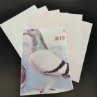 Vinyl Paper New Arrival A4 Vinyl Sublimation Paper Heat Transfer Pattern Paper For Textile