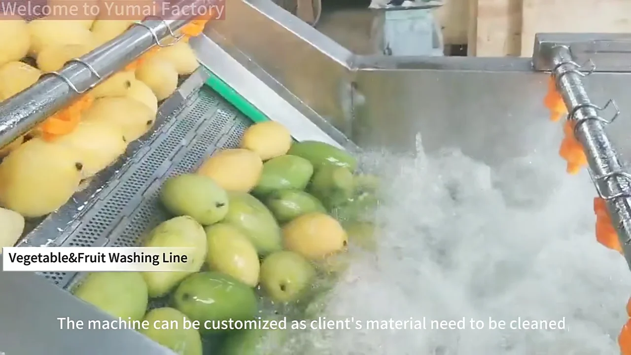 Industrial Fully Automatic Salad Washing Fruit And Leafy Vegetable