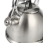 Stainless Steel Gas Mirror Polished Stainless Steel Kettle Gas Induction Cooker Universal Kettle